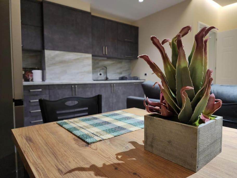 Central Apartment-New Bazar Тирана Экстерьер фото